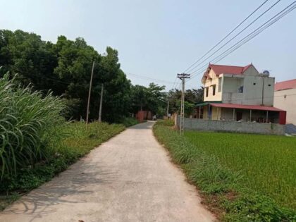Đất Phúc Bồi - Thọ Lập